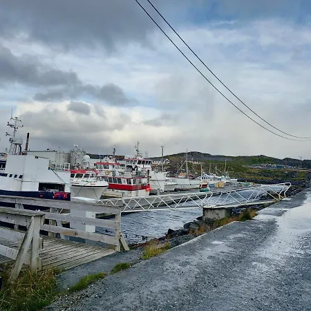 Brakkebo As * Gamvik (Troms)