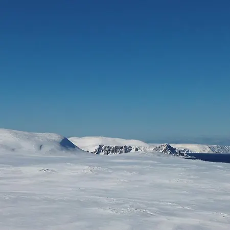 Brakkebo As * Gamvik (Troms)