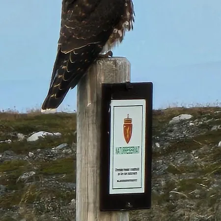 Han/Misafirhane Brakkebo As