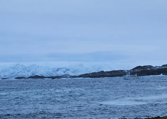 Brakkebo As * Gamvik (Troms)