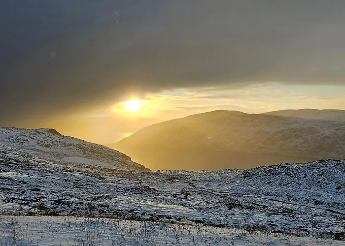 Brakkebo As Gamvik (Troms)