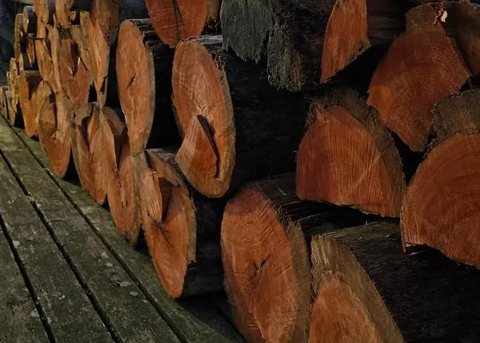 Brakkebo As * Gamvik (Troms)