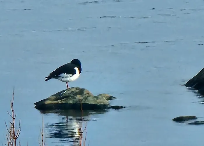 Brakkebo As * Gamvik (Troms)