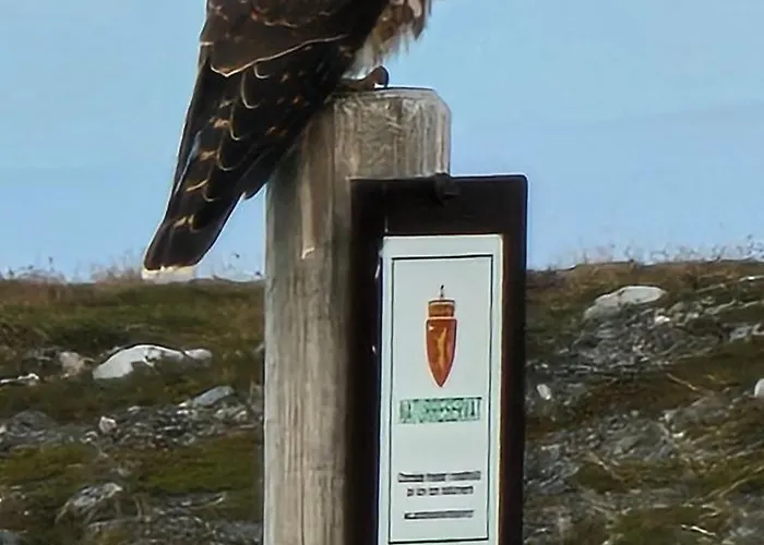 Han/Misafirhane Brakkebo As