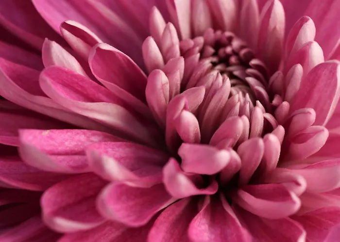 Brakkebo As * Gamvik (Troms)