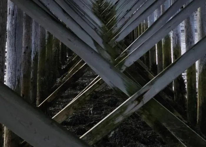 Han/Misafirhane Brakkebo As Gamvik (Troms)