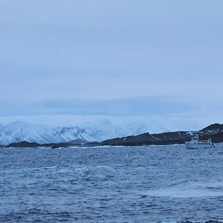 Brakkebo As * Gamvik (Troms)