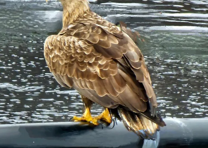 Brakkebo As Värdshus Gamvik (Troms)